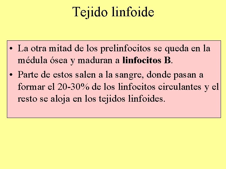 Tejido linfoide • La otra mitad de los prelinfocitos se queda en la médula Tejido linfoide • La otra mitad de los prelinfocitos se queda en la médula