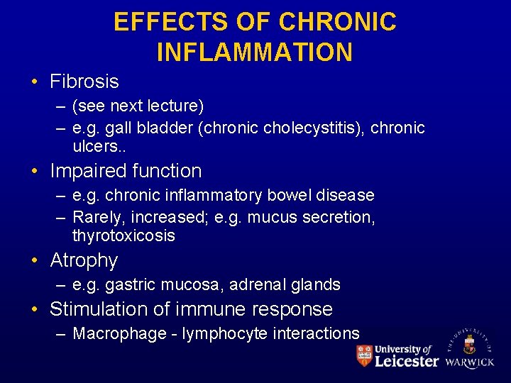 EFFECTS OF CHRONIC INFLAMMATION • Fibrosis – (see next lecture) – e. g. gall