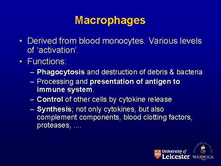 Macrophages • Derived from blood monocytes. Various levels of ‘activation’. • Functions: – Phagocytosis