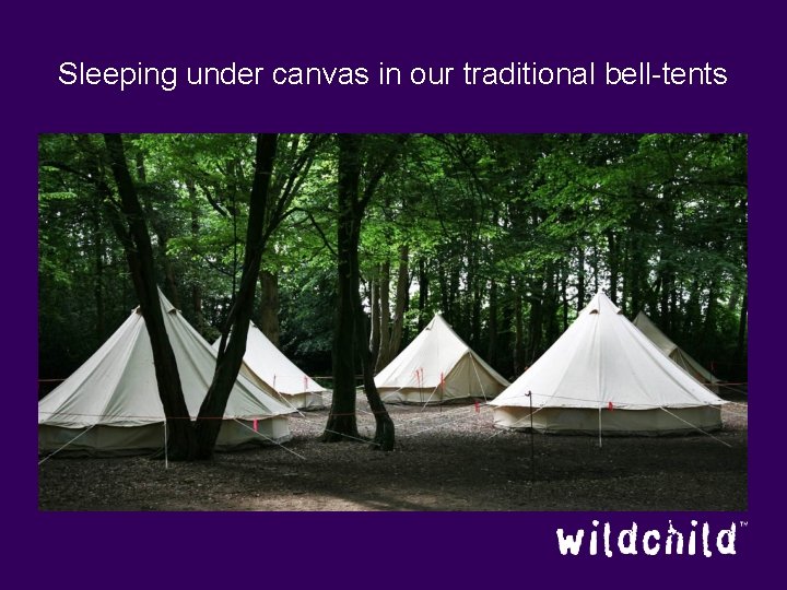 Sleeping under canvas in our traditional bell-tents 