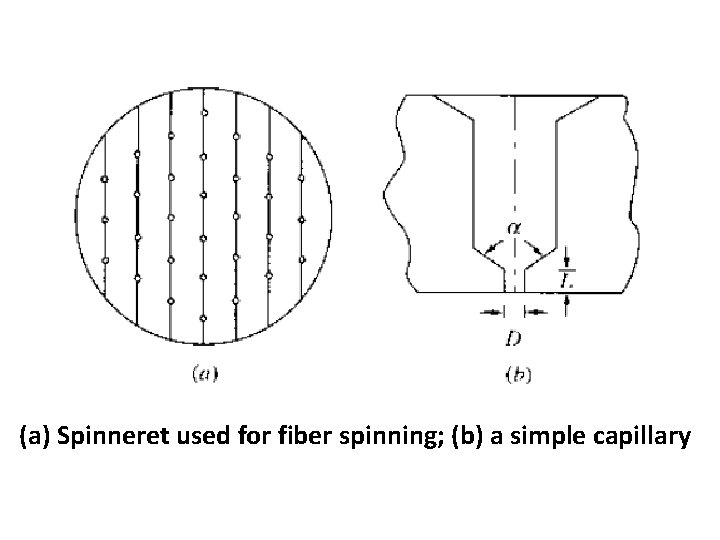 (a) Spinneret used for fiber spinning; (b) a simple capillary 
