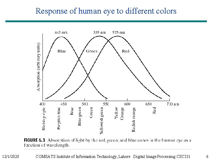 Response of human eye to different colors 12/1/2020 COMSATS Institute of Information Technology, Lahore