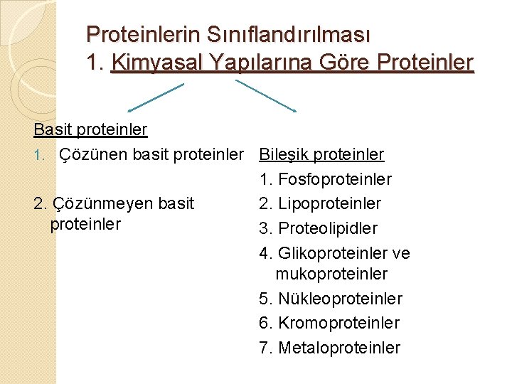 Proteinlerin Sınıflandırılması 1. Kimyasal Yapılarına Göre Proteinler Basit proteinler 1. Çözünen basit proteinler Bileşik
