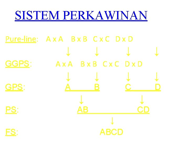 SISTEM PERKAWINAN Pure-line: A x A B x B C x C D x