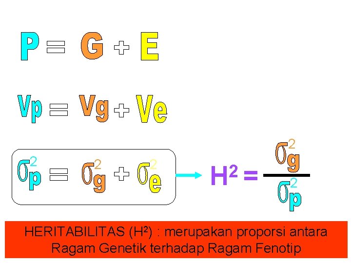 2 2 2 H = 2 HERITABILITAS (H 2) : merupakan proporsi antara Ragam