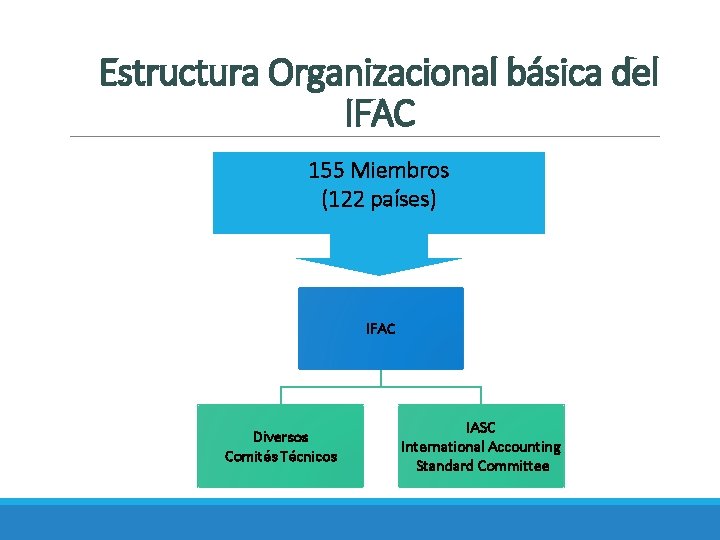 Estructura Organizacional básica del IFAC 155 Miembros (122 países) IFAC Diversos Comités Técnicos IASC