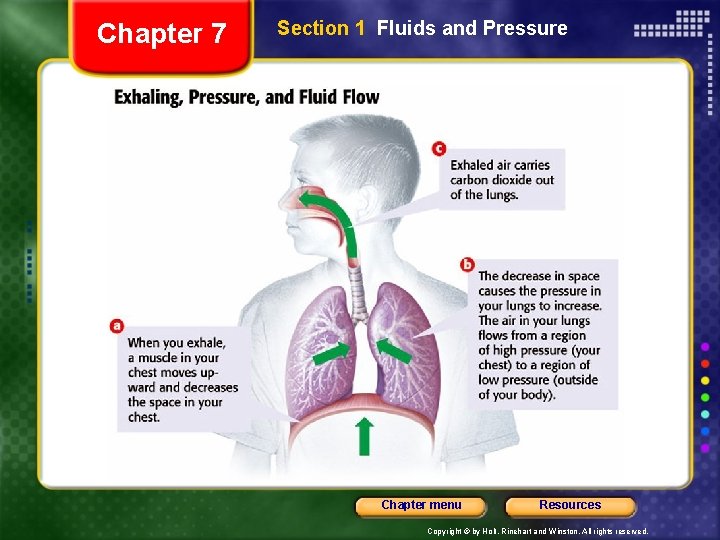 Chapter 7 Section 1 Fluids and Pressure Chapter menu Resources Copyright © by Holt,