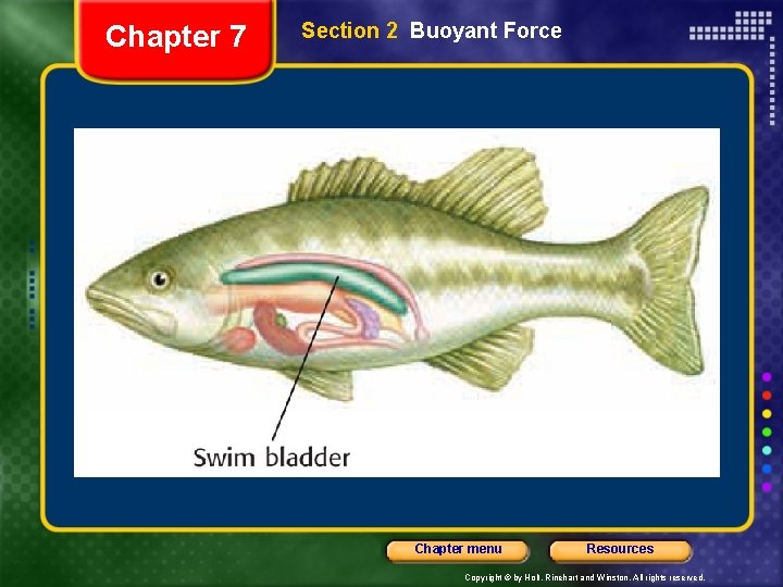 Chapter 7 Section 2 Buoyant Force Chapter menu Resources Copyright © by Holt, Rinehart