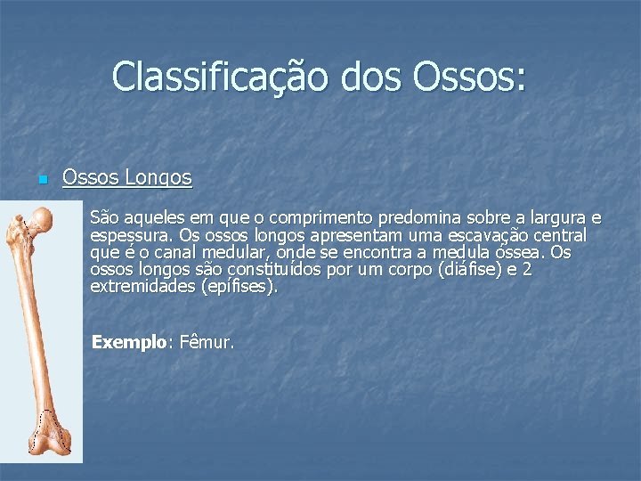 Classificação dos Ossos: n Ossos Longos São aqueles em que o comprimento predomina sobre