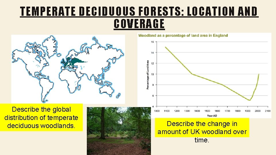 TEMPERATE DECIDUOUS FORESTS: LOCATION AND COVERAGE Describe the global distribution of temperate deciduous woodlands.