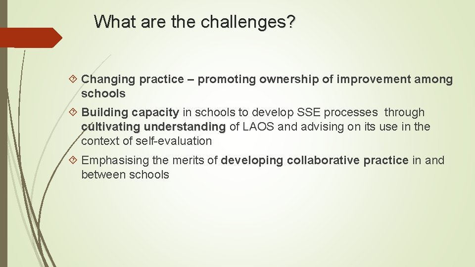 What are the challenges? Changing practice – promoting ownership of improvement among schools Building