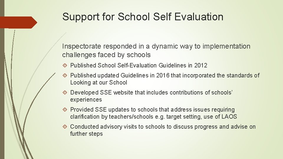 Support for School Self Evaluation Inspectorate responded in a dynamic way to implementation challenges