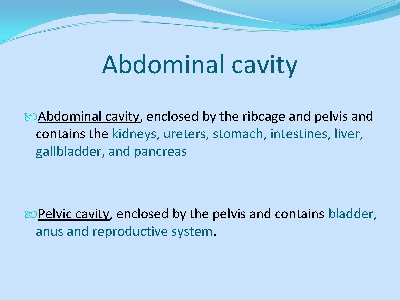 Abdominal cavity, enclosed by the ribcage and pelvis and contains the kidneys, ureters, stomach,