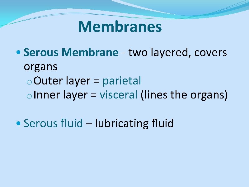 Membranes • Serous Membrane - two layered, covers organs o Outer layer = parietal