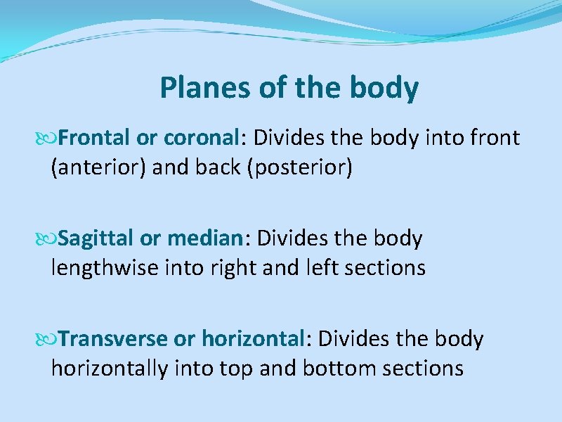 Planes of the body Frontal or coronal: Divides the body into front (anterior) and