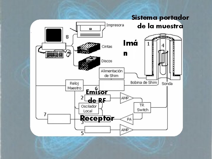 Sistema portador de la muestra Imá n Emisor de RF Receptor 