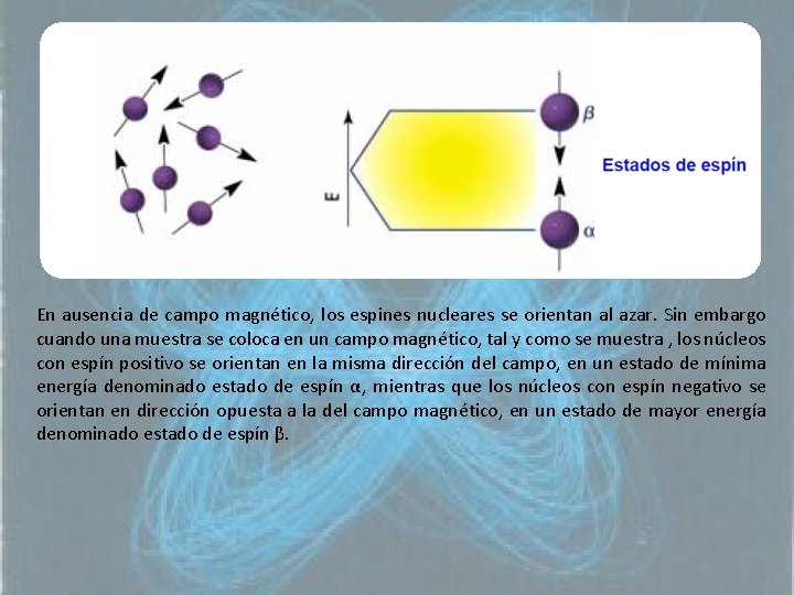 En ausencia de campo magnético, los espines nucleares se orientan al azar. Sin embargo