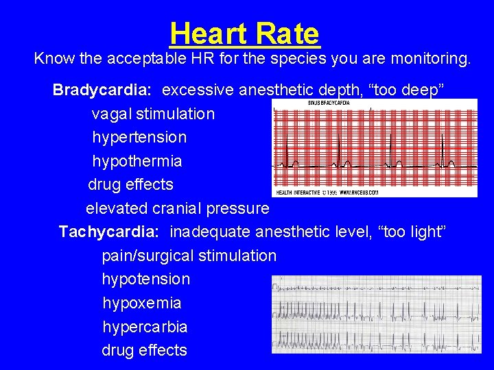 Heart Rate Know the acceptable HR for the species you are monitoring. Bradycardia: excessive Heart Rate Know the acceptable HR for the species you are monitoring. Bradycardia: excessive