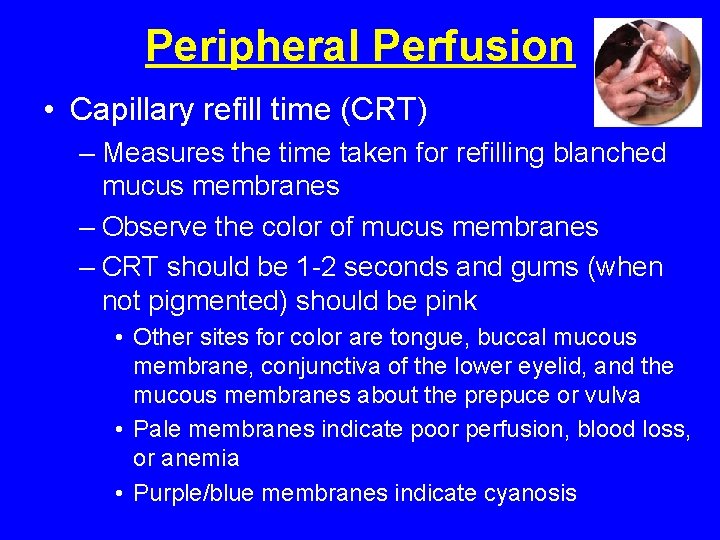 Peripheral Perfusion • Capillary refill time (CRT) – Measures the time taken for refilling Peripheral Perfusion • Capillary refill time (CRT) – Measures the time taken for refilling