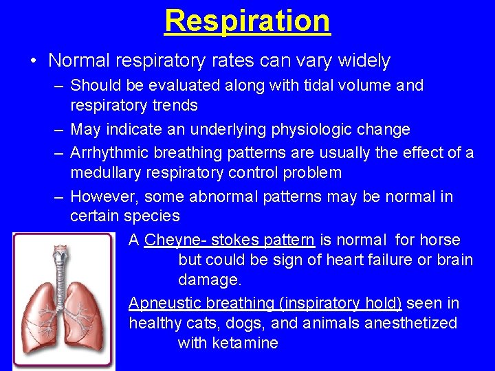Respiration • Normal respiratory rates can vary widely – Should be evaluated along with Respiration • Normal respiratory rates can vary widely – Should be evaluated along with