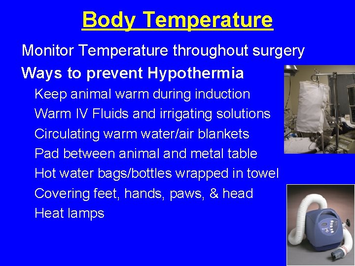 Body Temperature Monitor Temperature throughout surgery Ways to prevent Hypothermia Keep animal warm during Body Temperature Monitor Temperature throughout surgery Ways to prevent Hypothermia Keep animal warm during