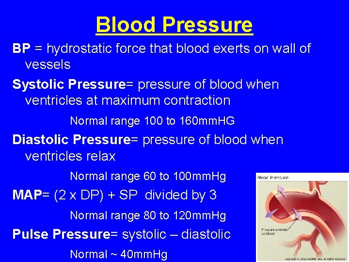 Blood Pressure BP = hydrostatic force that blood exerts on wall of vessels Systolic Blood Pressure BP = hydrostatic force that blood exerts on wall of vessels Systolic