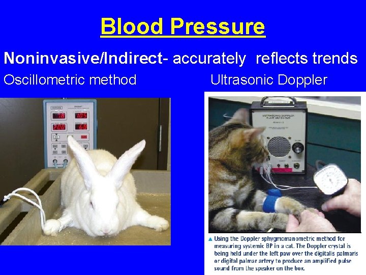 Blood Pressure Noninvasive/Indirect- accurately reflects trends Oscillometric method Ultrasonic Doppler Blood Pressure Noninvasive/Indirect- accurately reflects trends Oscillometric method Ultrasonic Doppler