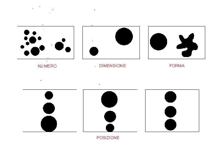 NUMERO DIMENSIONE POSIZIONE FORMA 