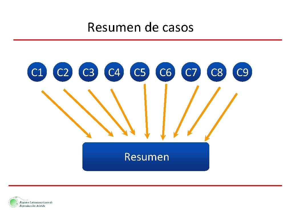 Resumen de casos C 1 C 2 C 3 C 4 C 5 C