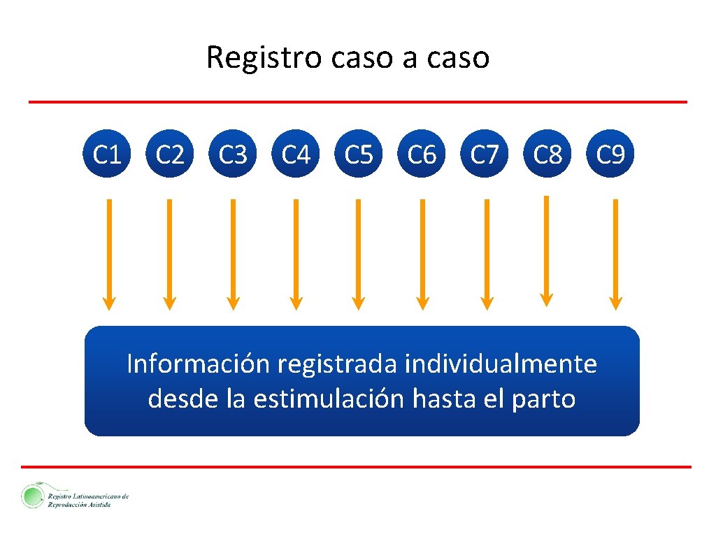 Registro caso a caso C 1 C 2 C 3 C 4 C 5