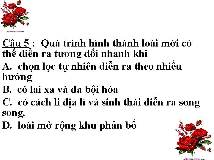 Câu 5 : Quá trình hình thành loài mới có thể diễn ra tương