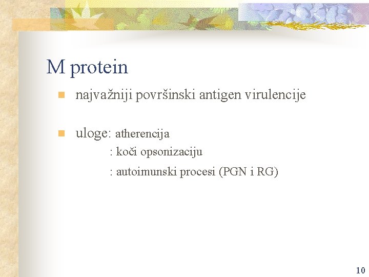 M protein n najvažniji površinski antigen virulencije n uloge: atherencija : koči opsonizaciju :