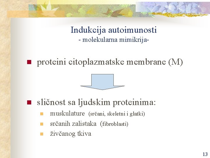 Indukcija autoimunosti - molekularna mimikrija- n proteini citoplazmatske membrane (M) n sličnost sa ljudskim