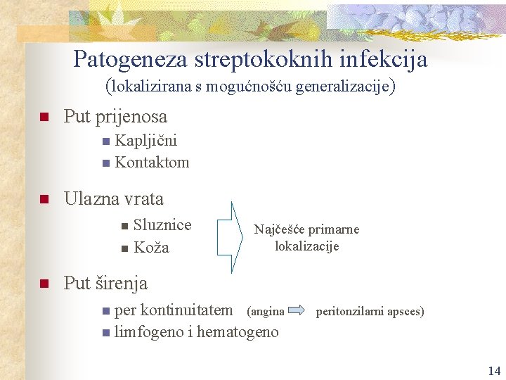 Patogeneza streptokoknih infekcija (lokalizirana s mogućnošću generalizacije) n Put prijenosa n Kapljični n Kontaktom