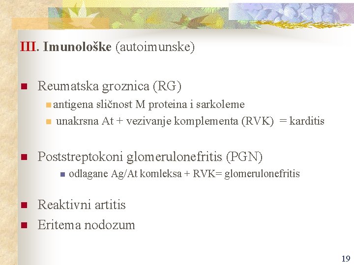 III. Imunološke (autoimunske) n Reumatska groznica (RG) n antigena n n sličnost M proteina