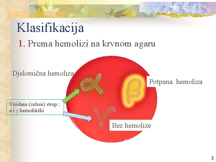 Klasifikacija 1. Prema hemolizi na krvnom agaru Djelomična hemoliza Potpuna hemoliza Viridans (zeleni) strep.