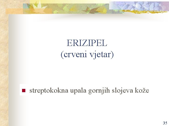 ERIZIPEL (crveni vjetar) n streptokokna upala gornjih slojeva kože 35 