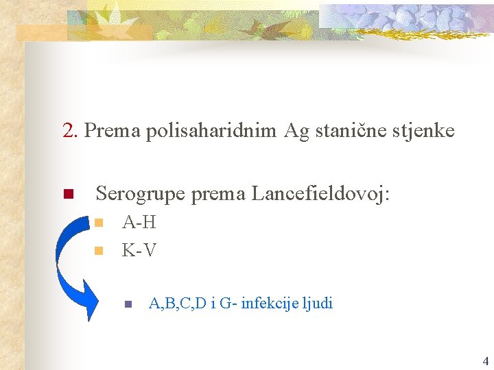 2. Prema polisaharidnim Ag stanične stjenke n Serogrupe prema Lancefieldovoj: n n A-H K-V