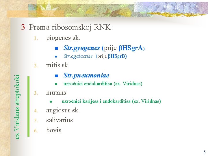 3. Prema ribosomskoj RNK: 1. piogenes sk. n Str. pyogenes (prije βHSgr. A) n