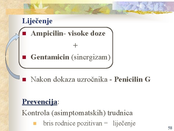 Liječenje n Ampicilin- visoke doze + n Gentamicin (sinergizam) n Nakon dokaza uzročnika -