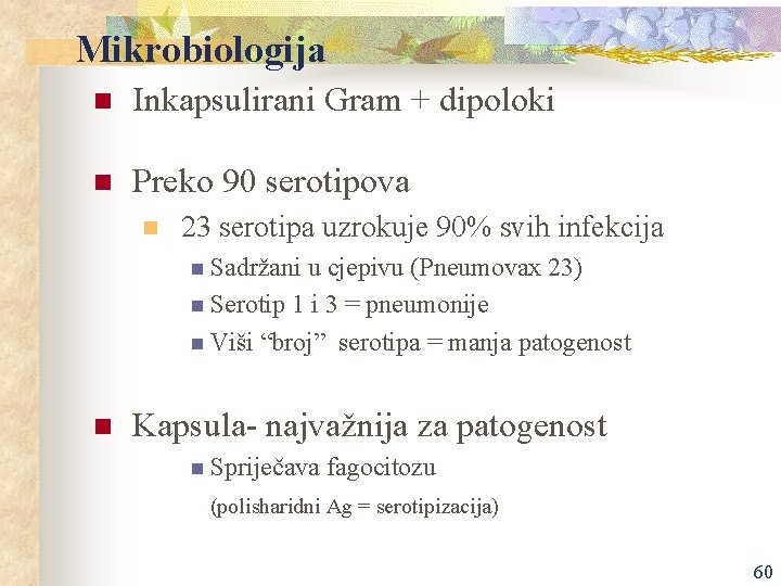 Mikrobiologija n Inkapsulirani Gram + dipoloki n Preko 90 serotipova n 23 serotipa uzrokuje