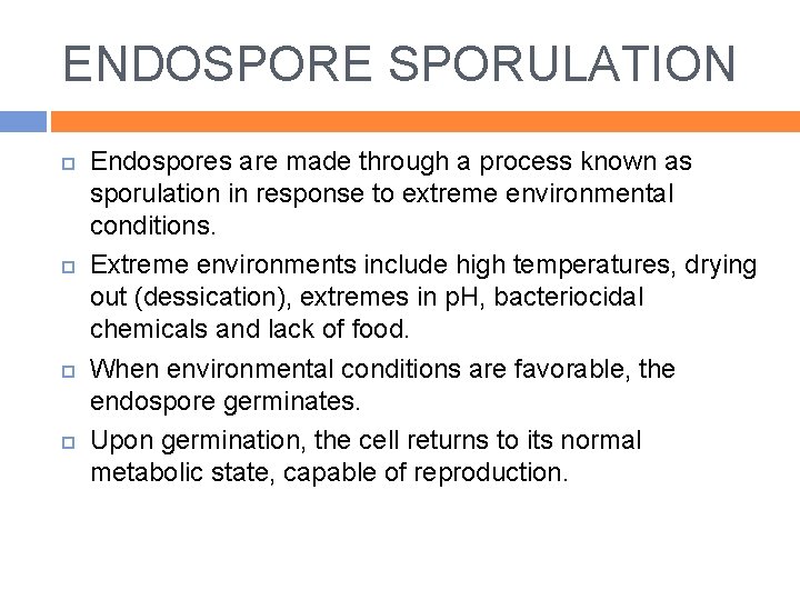 ENDOSPORE SPORULATION Endospores are made through a process known as sporulation in response to