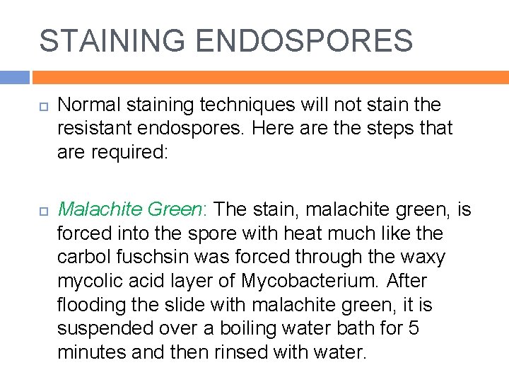 STAINING ENDOSPORES Normal staining techniques will not stain the resistant endospores. Here are the