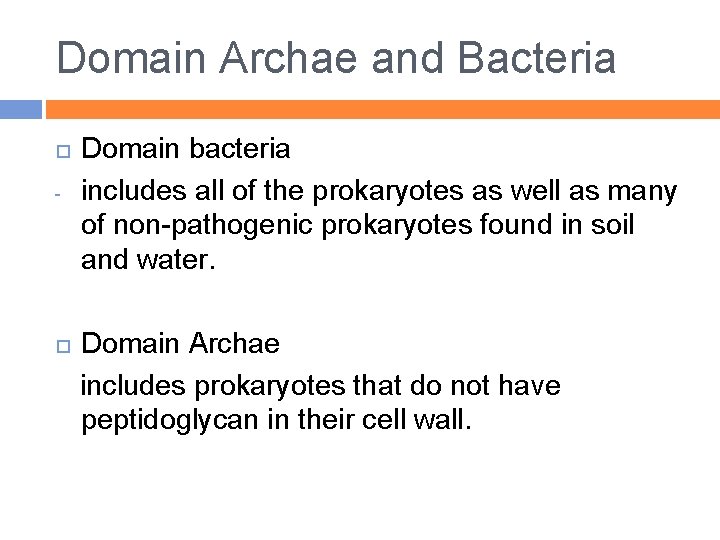 Domain Archae and Bacteria - Domain bacteria includes all of the prokaryotes as well
