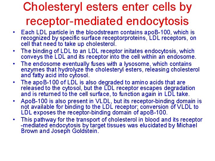 Cholesteryl esters enter cells by receptor-mediated endocytosis • Each LDL particle in the bloodstream