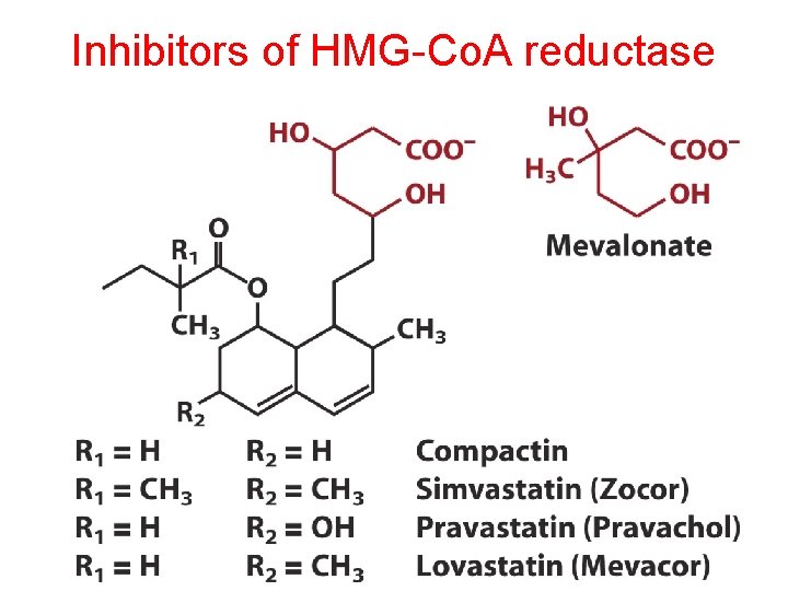 Inhibitors of HMG-Co. A reductase 