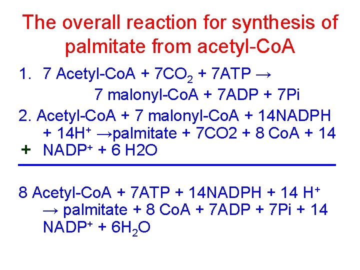 The overall reaction for synthesis of palmitate from acetyl-Co. A 1. 7 Acetyl-Co. A