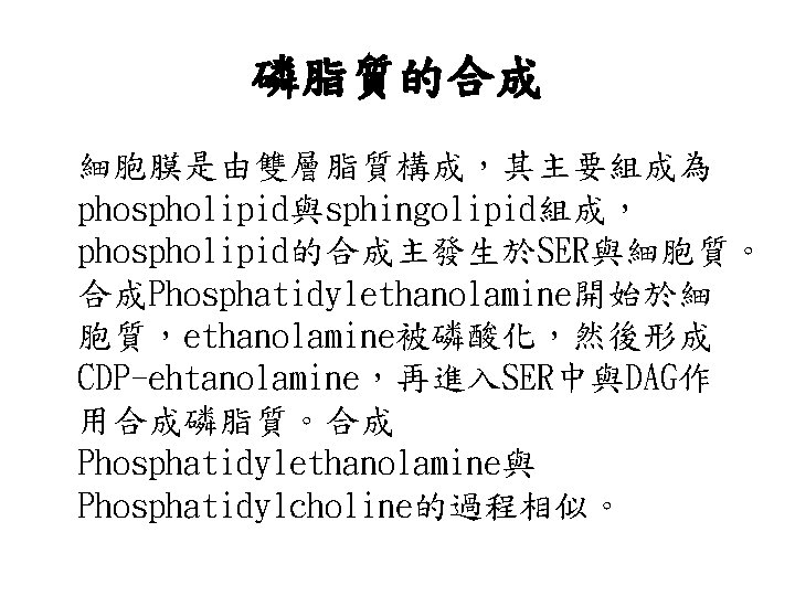 磷脂質的合成 細胞膜是由雙層脂質構成，其主要組成為 phospholipid與sphingolipid組成， phospholipid的合成主發生於SER與細胞質。 合成Phosphatidylethanolamine開始於細 胞質，ethanolamine被磷酸化，然後形成 CDP-ehtanolamine，再進入SER中與DAG作 用合成磷脂質。合成 Phosphatidylethanolamine與 Phosphatidylcholine的過程相似。 