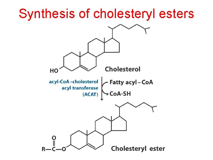 Synthesis of cholesteryl esters 