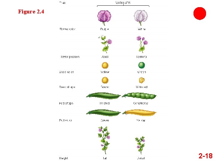 Figure 2. 4 2 -18 